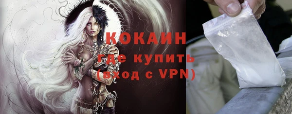 прущие грибы Корсаков