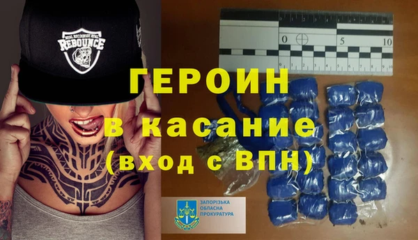 прущие грибы Корсаков