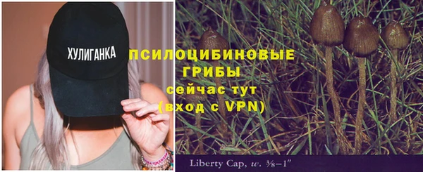 прущие крисы Краснотурьинск