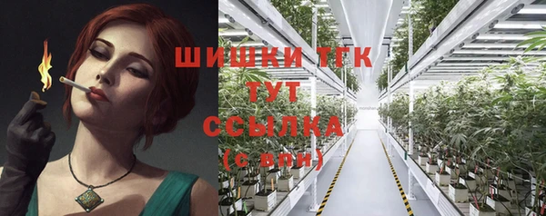 прущие грибы Корсаков