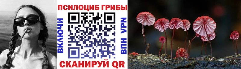Псилоцибиновые грибы Psilocybine cubensis  Купить  Воронеж 